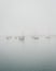 Boats on a foggy morning in Morro Bay, California