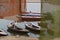 Boats on The Ganges