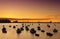 Boats in Getxo port at sunset