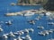 Boats in the Harbor of Avalon Bay on Catalina Island, California