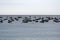 Boats in a harbor, Llafranc, Catalonia, Spain