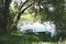 Boats on Havel river in summer time (Havelland, Germany)