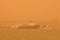 Boats lie at anchor in a dust storm over the ocean