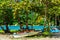 Boats lying in the sand under trees at a beach on Guadeloupe