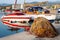 Boats Moored in Lefkada, Ionian Greek Island, Greece