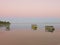 Boats on muri beach