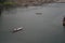 Boats in Narmada river carrying tourists and pilgrims