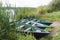 Boats near the grassy shore