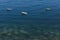 Boats over blue water near the coast of Valletta, Malta