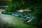 Boats in the pond under green tree