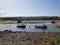 Boats on river in Axmouth, UK