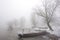 Boats on river Danube mid winter