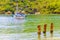 Boats ships Boat Mangrove and Pouso beach Ilha Grande Brazil