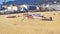 Boats stranded on the sand of the beach of Tossa de Mar, Costa Brava, Girona