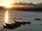 Boats stuck in the water calm sunset coaster