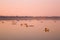 Boats on the Taungthaman Lake at sunset in Amarapura, Mandalay Myanmar