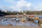 Boats in Tenby harbour Pembrokeshire Wales UK