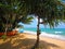 Boats under palm trees on a sandy beach with sea waves