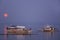 boats in the water beneath moon on Malapascua Island in the philippines