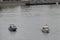 Boats of the water police and rescue service at the water bodies of the Russian Emergencies Ministry on the Moscow River