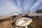 Boats Yachts Abandoned Yard