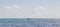 Boats yachts jetty flying birds seagulls Playa del Carmen Mexico