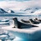 A bob of seals recline on an arctic ice shelf, forever vigilant