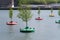 Bobbing forest in rotterdam