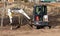 A bobcat excavator parses the ground in the park