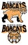 Bobcat mascot