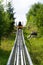 Bobsled Roller Coaster Toboggan in summer day, Rittisberg, Austrian Alps