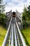 Bobsled Roller Coaster Toboggan in summer day, Rittisberg, Austrian Alps