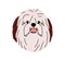 Bobtail dog avatar. Bob-tailed shepherd, cute portrait. Old English sheepdog, shaggy hairy head, muzzle. Adorable funny
