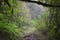 Boca das Torrinhas trek in the central mountains of Madeira island