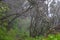 Boca das Torrinhas trek in the central mountains of Madeira island