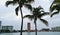 Boca Raton city skyline with palm trees