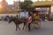 Bodhgaya, Bihar India - February 13,  2016 : Horse cart on street. Bodhgaya is the most revered of all Buddhist sacred sites