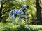 Bodhi the dalmatian in Arrowtown, New Zealand