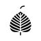 bodhi leaf buddhism glyph icon vector illustration