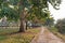 Bodhi tree in the park The atmosphere in the evening was quiet.