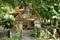 Bodhi tree trunk and root cover entrance in Wat  Lek Tham Kit ancient Buddhist temple in Thailand