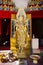 Bodhisattva Maitreya Buddha for thai people and foreign traveler travel visit and respect praying with holy mystery at Wat Song