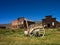 Bodie Historical Park