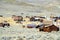 Bodie national state park,