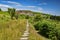 Bodmin Moor Cornwall UK