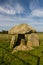 Bodowyr Burial Chamber