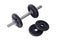 Body Building Equipment