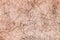 Body hair close-up. Hairy background.