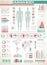 Body infographics. Human health medical vector anatomy infographic with chart, diagrams and graphs, inner organ icons
