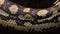 Body scaled of diamond python snake in a terrarium breathing - Morelia spilota